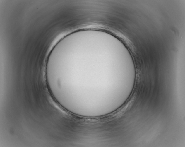 X0000111151374200906301029