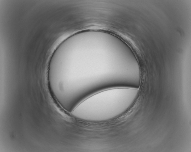 X0000111151375200906301029