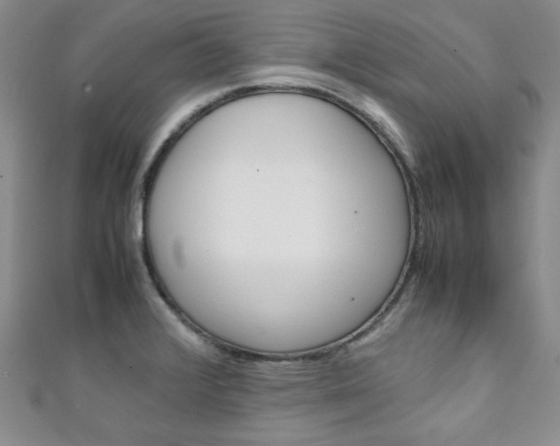X0000111151376200906301029