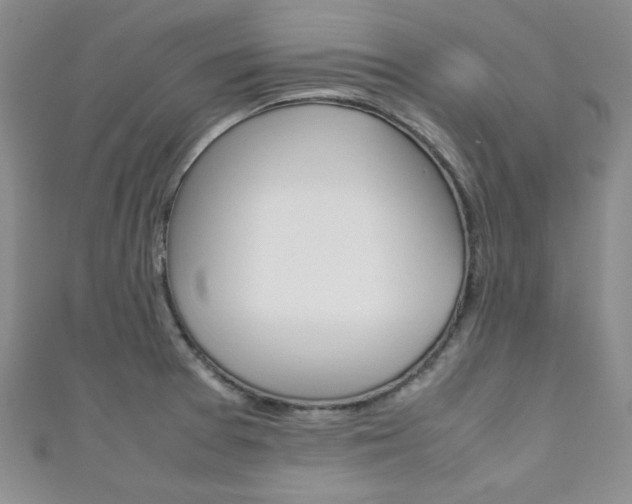 X0000111151377200906301029