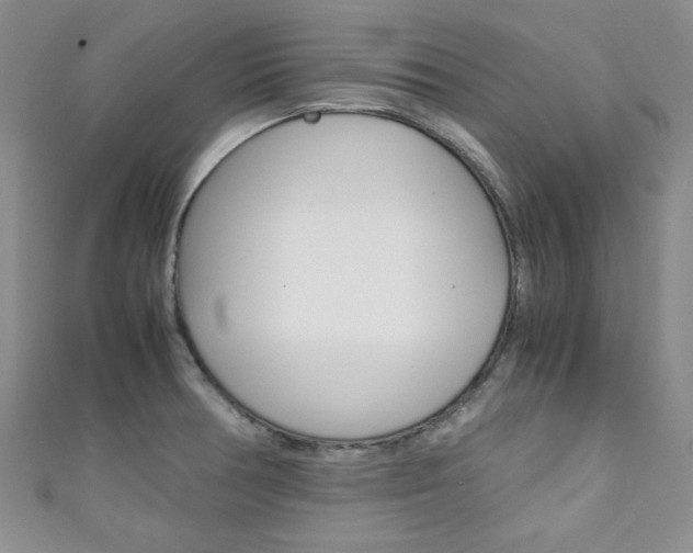 X0000111151378200906301029
