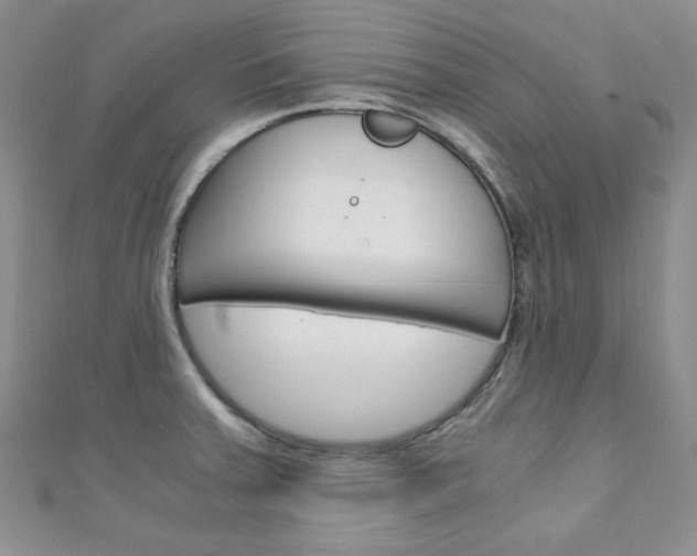 X0000111151379200906301029