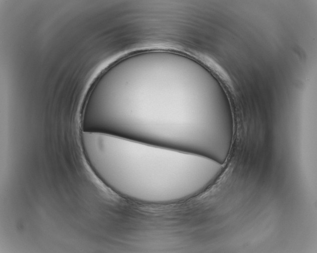 X0000111151380200906301029