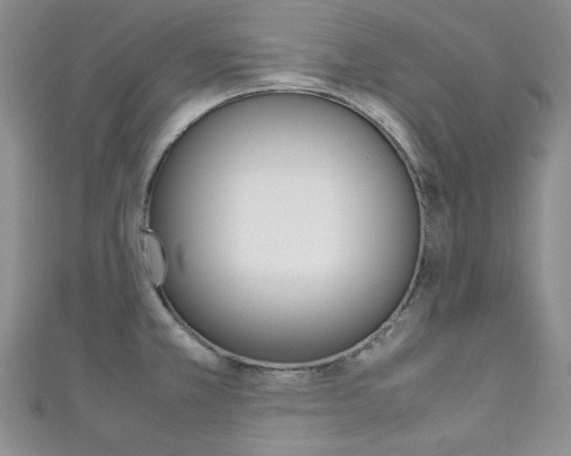 X0000111151381200906301029
