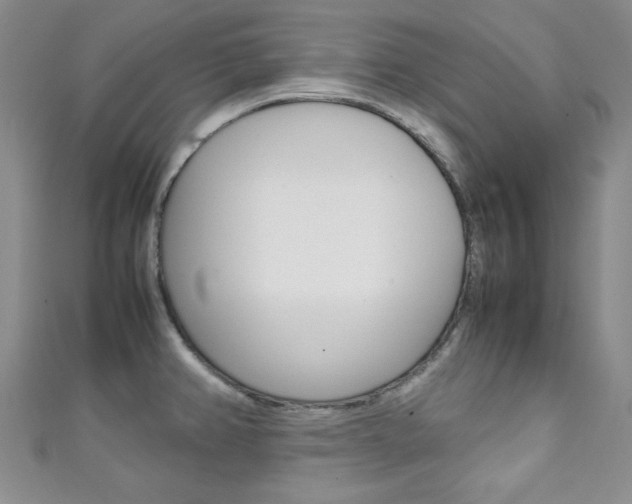 X0000111151382200906301029