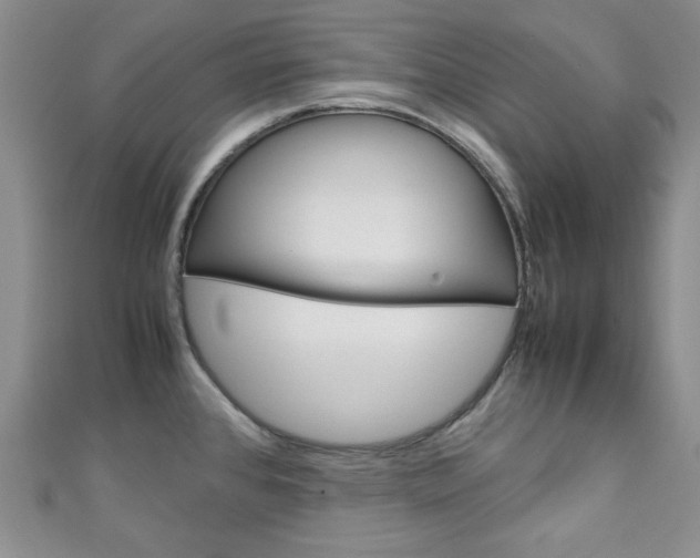 X0000111151384200906301029