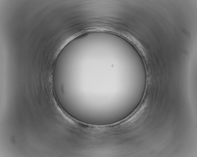 X0000111151385200906301029