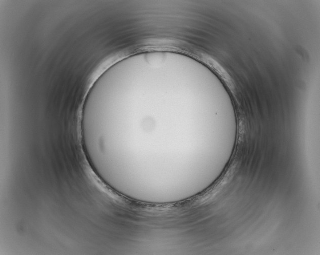 X0000111151386200906301029