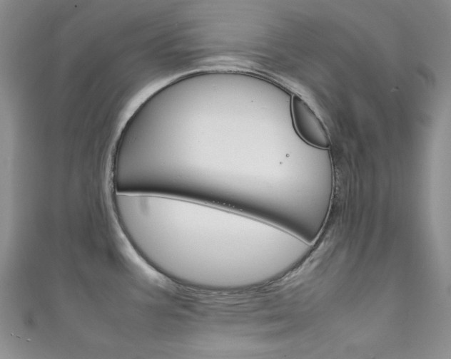 X0000111151387200906301028