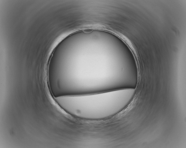 X0000111151389200906301028