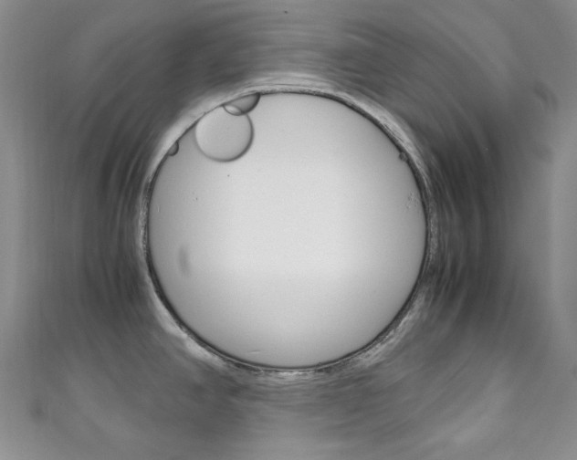 X0000111151390200906301028