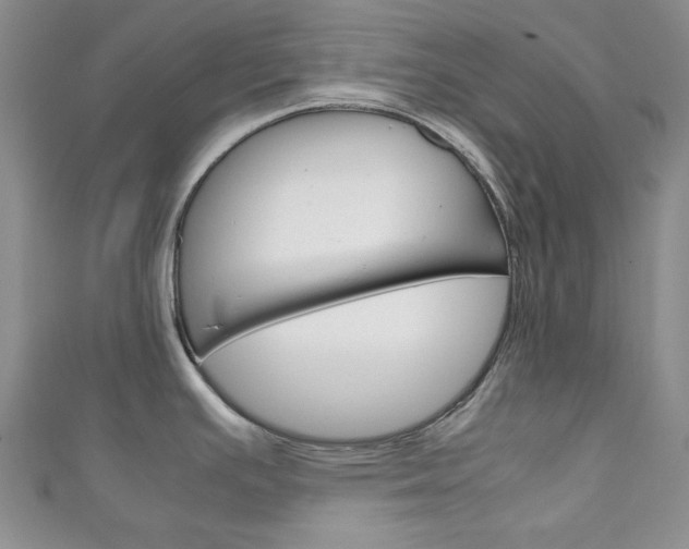 X0000111151391200906301028