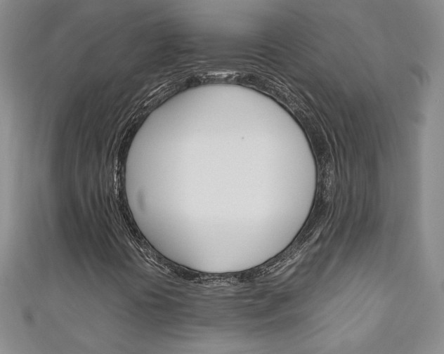 X0000111151394200906301028