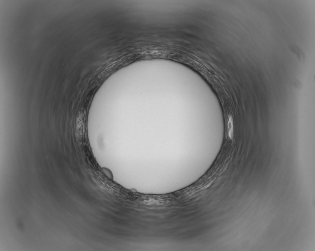 X0000111151395200906301028