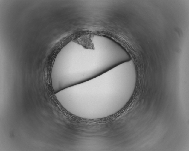 X0000111151398200906301028