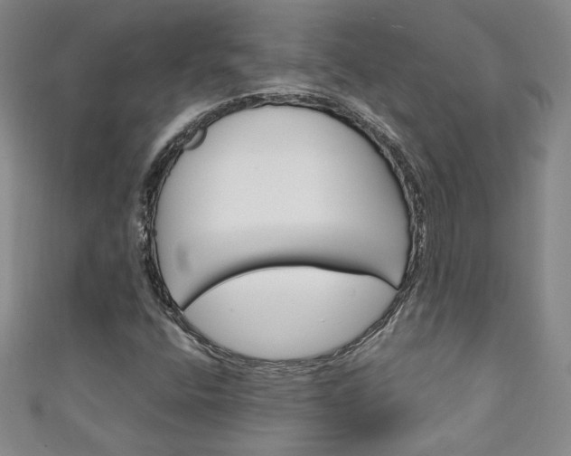 X0000111151400200906301028