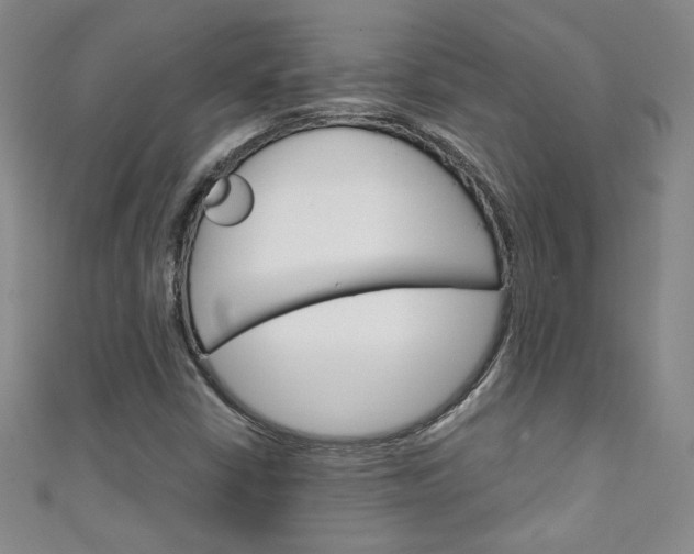 X0000111151402200906301028