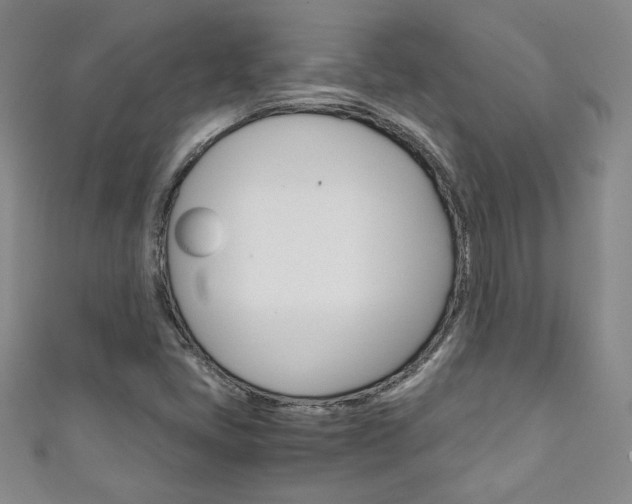 X0000111151405200906301028