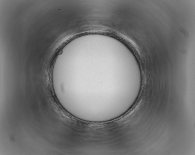 X0000111151407200906301028