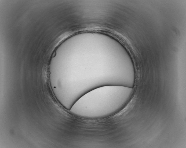 X0000111151409200906301028