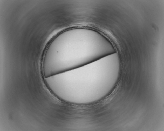 X0000111151412200906301028