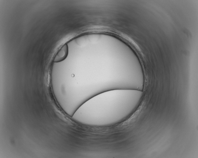 X0000111151413200906301028