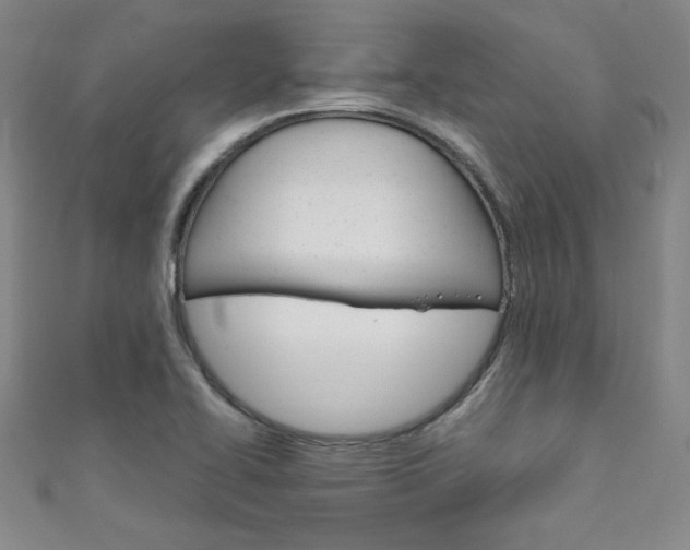 X0000111151414200906301028