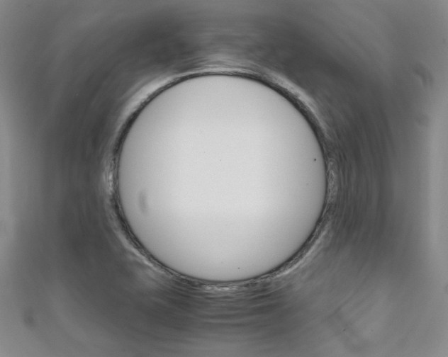 X0000111151415200906301028