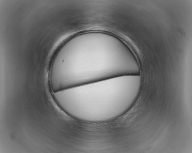 X0000111151416200906301028
