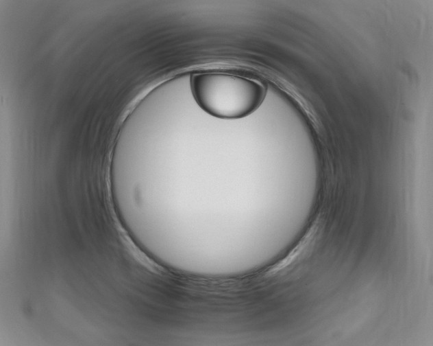 X0000111151417200906301028