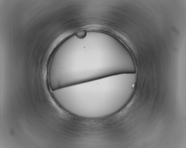 X0000111151418200906301028