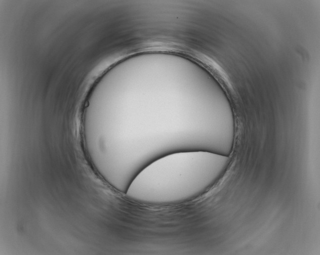 X0000111151419200906301028