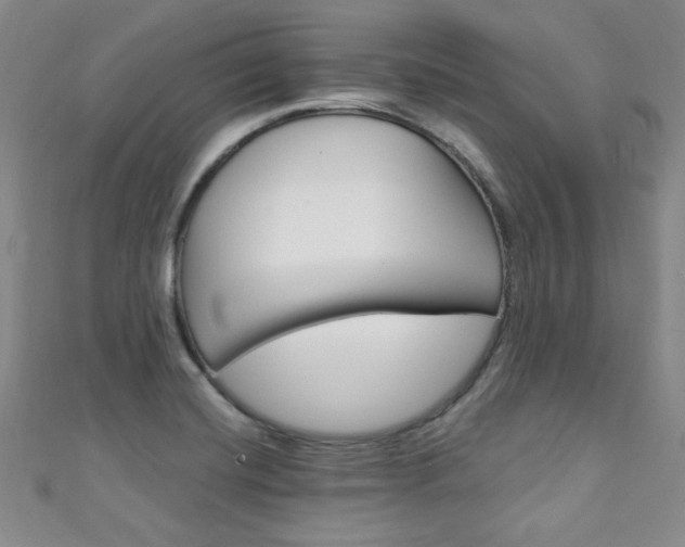 X0000111151420200906301028