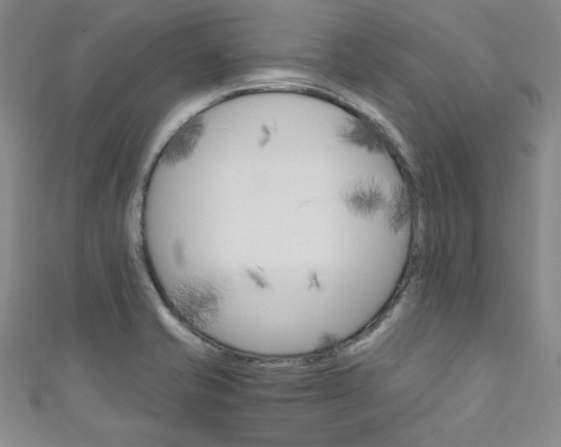 X0000111151421200906301028