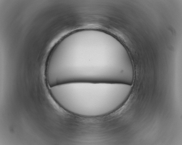 X0000111151422200906301028