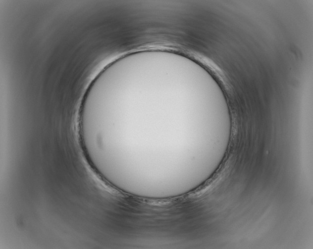 X0000111151423200906301028