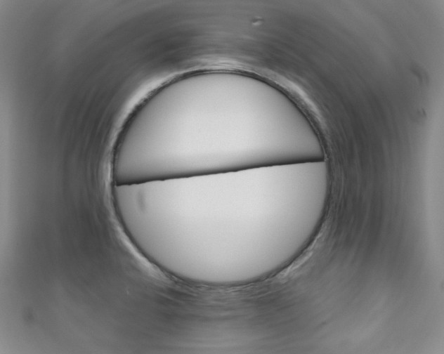 X0000111151424200906301028