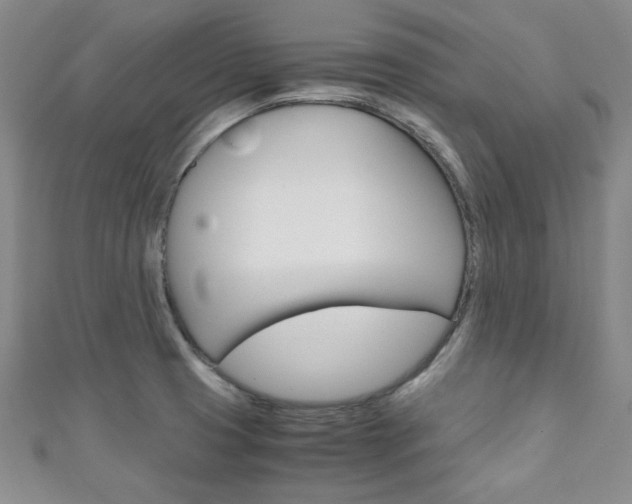 X0000111151425200906301028