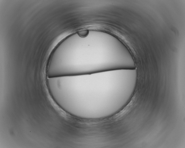 X0000111151426200906301028