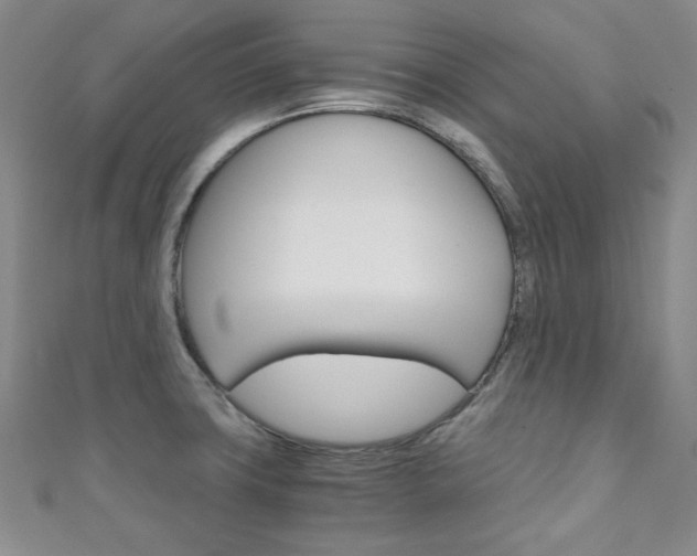 X0000111151427200906301028
