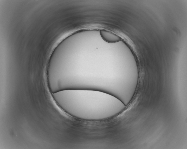 X0000111151429200906301028