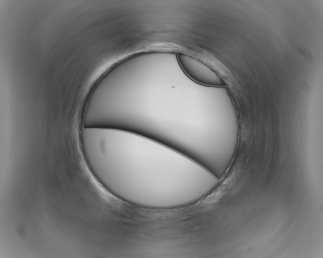 X0000111151430200906301028
