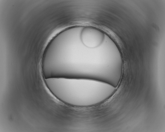X0000111151432200906301028