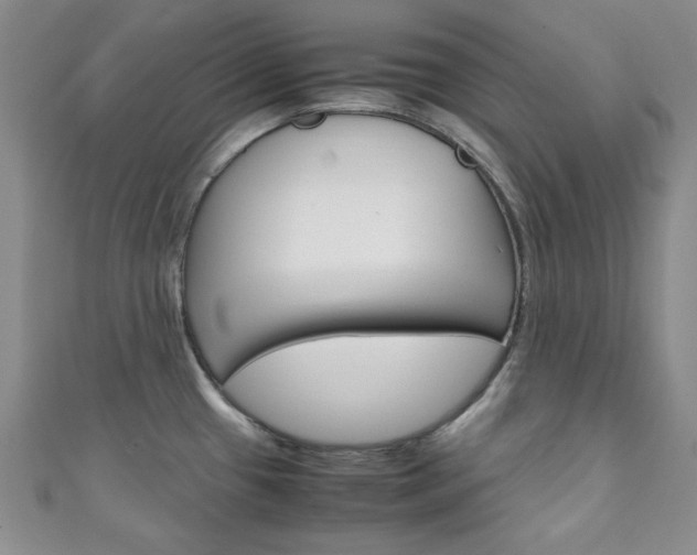 X0000111151433200906301028