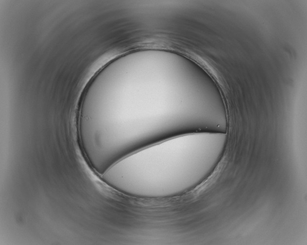 X0000111151434200906301028