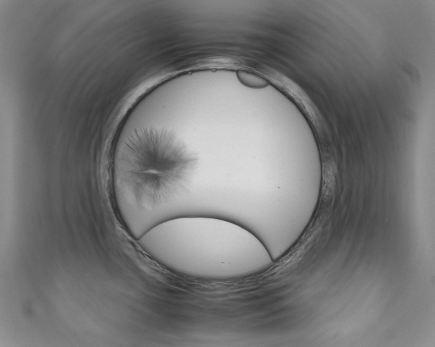 X0000111151435200906301028