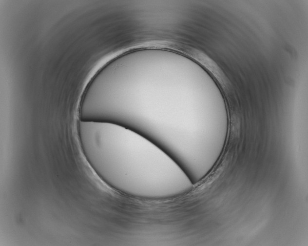 X0000111151436200906301028