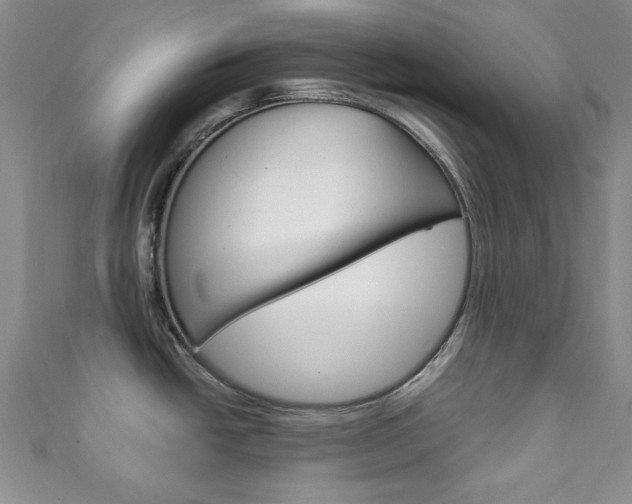 X0000111151438200906301028