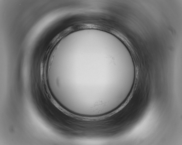 X0000111151439200906301028