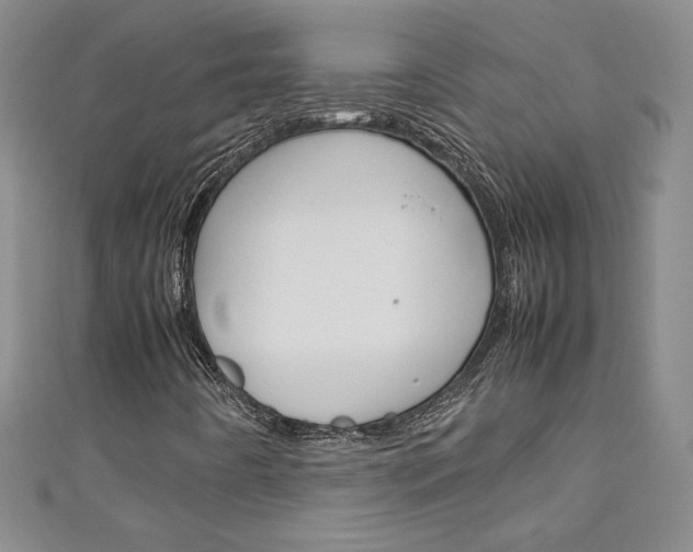 X0000111151442200906301028